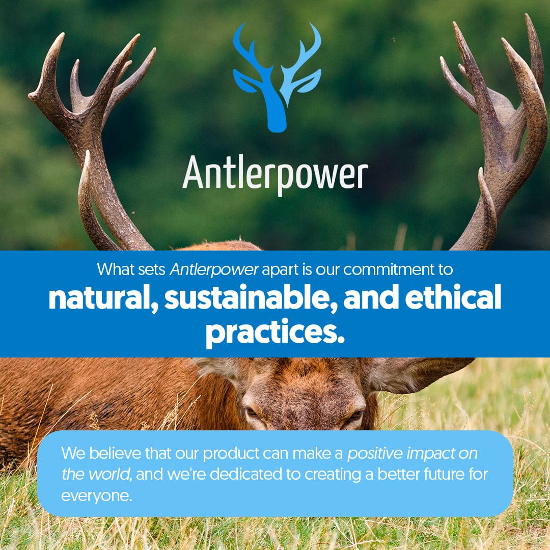 Antlerpower™ Premium Elk Velvet Antler - 16,800 mg Per Bottle.